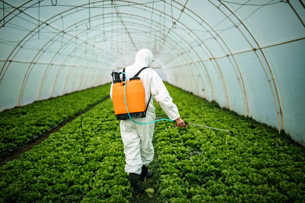 Best Affordable Pest Control Services  in East Farmingdale, NY