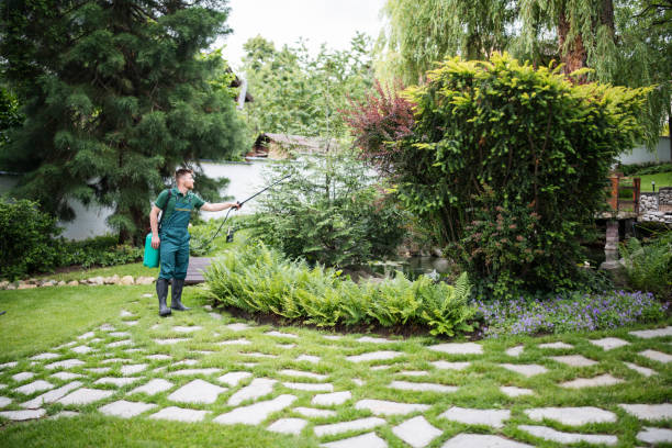 Reliable East Farmingdale, NY Pest Control Solutions