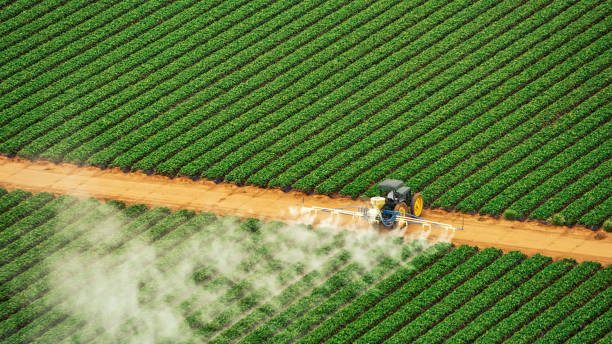 Pest Control Cost in East Farmingdale, NY