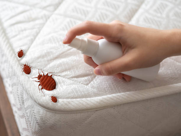 Best Best Pest Control Companies  in East Farmingdale, NY