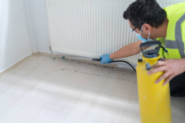 Best Insect Control  in East Farmingdale, NY